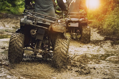 ATVs in the woods