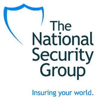 The National Security Group  Logo